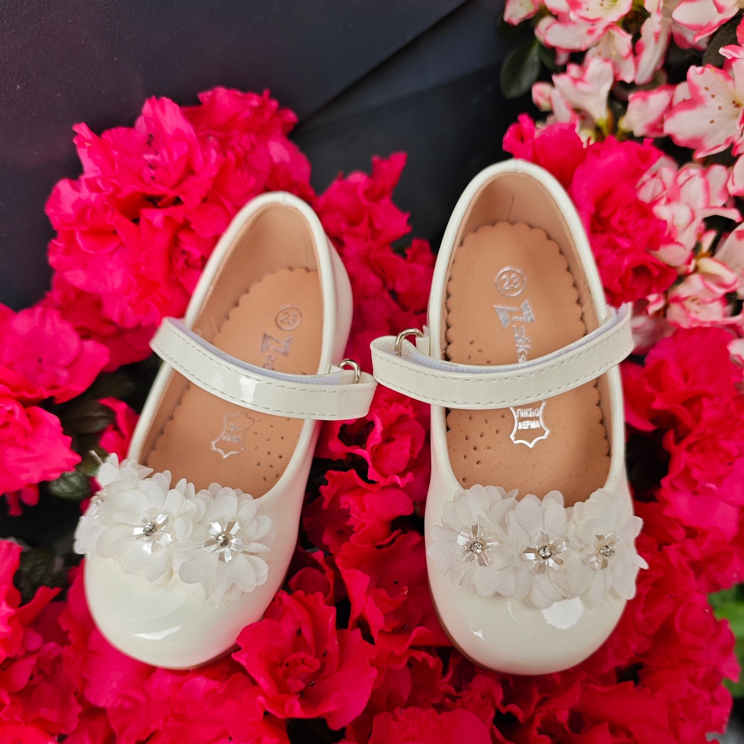 revolution slider image 98