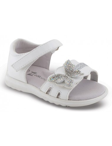 ΚΟΡΙΤΣΙΣΤΙΚΟ ΠΕΔΙΛΟ  ZAK...